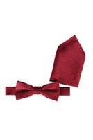 Fliege mit Einstecktuch