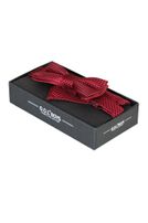 Fliege mit Einstecktuch