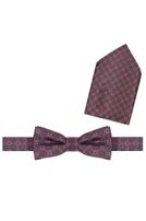 Fliege mit Einstecktuch